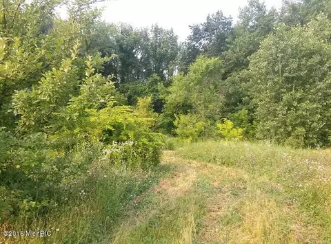 1287 Paige, Bailey, MI 49303 photo 5