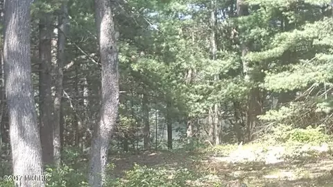 4717 S Spruce, White Cloud, MI 49349 photo 3