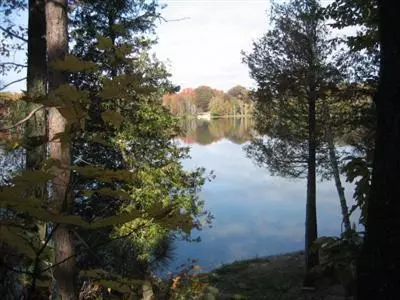 11582 N Hilltop, Irons, MI 49644 photo 9