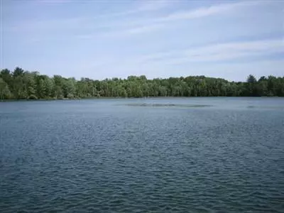 11582 N Hilltop, Irons, MI 49644 photo 13