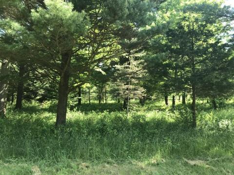 Lot 10 Creekwood, South Haven, MI 49090