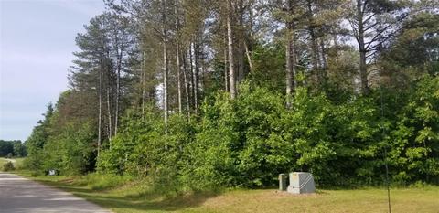 lot A-3 Meadow View Ln, Hart, MI 49420