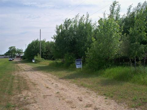 Parcel 3 Musgrove, Sunfield, MI 48890