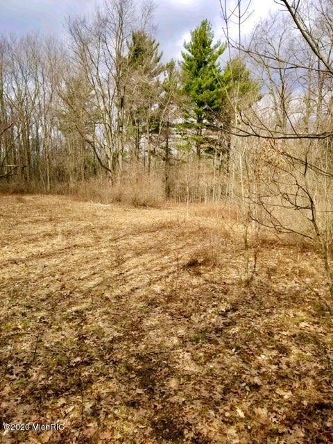 8074 Warner, Allendale, MI 49401 photo 5