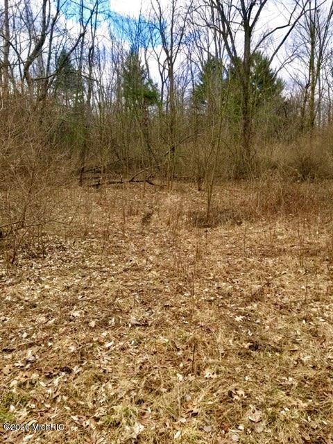 8074 Warner, Allendale, MI 49401 photo 1