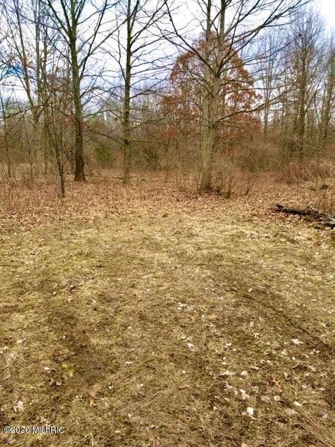 8074 Warner, Allendale, MI 49401 photo 3