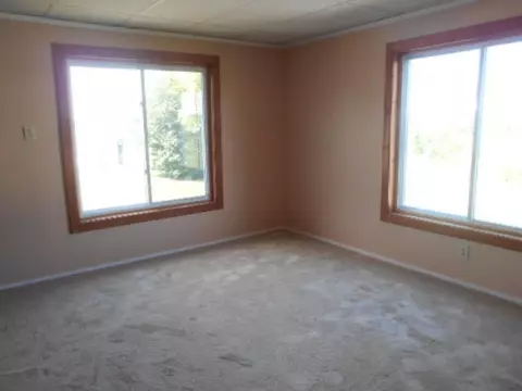 134 N Main, Custer, MI 49405 photo 22