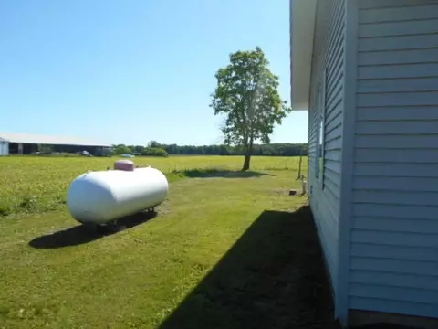 134 N Main, Custer, MI 49405 photo 3