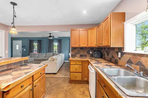 13575 S Jones, Eagle, MI 48822 photo 11
