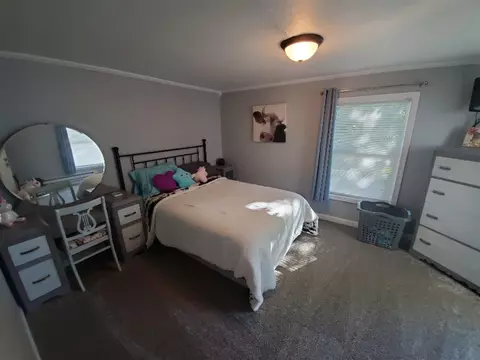 240 White Pigeon, Constantine, MI 49042 photo 20
