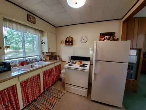 21068 Ceaser Dr, Marion, MI 49665 photo 18