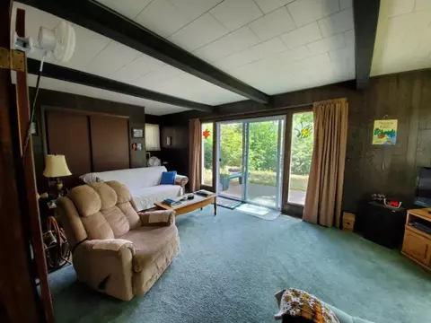 21068 Ceaser Dr, Marion, MI 49665 photo 13