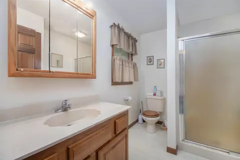 26182 S S Shr, Mendon, MI 49072 photo 20
