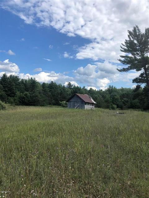 10925 Coates Hwy, Brethren, MI 49619 photo 1