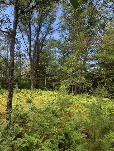 10925 Coates Hwy, Brethren, MI 49619 photo 24