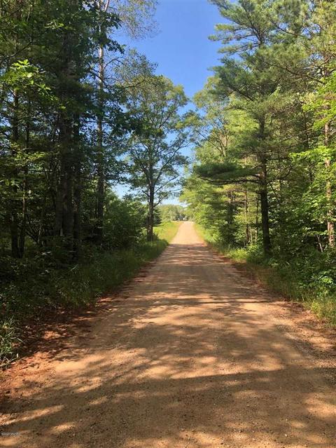 10925 Coates Hwy, Brethren, MI 49619 photo 27