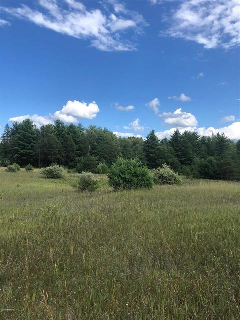 10925 Coates Hwy, Brethren, MI 49619 photo 2