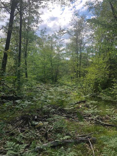10925 Coates Hwy, Brethren, MI 49619 photo 19