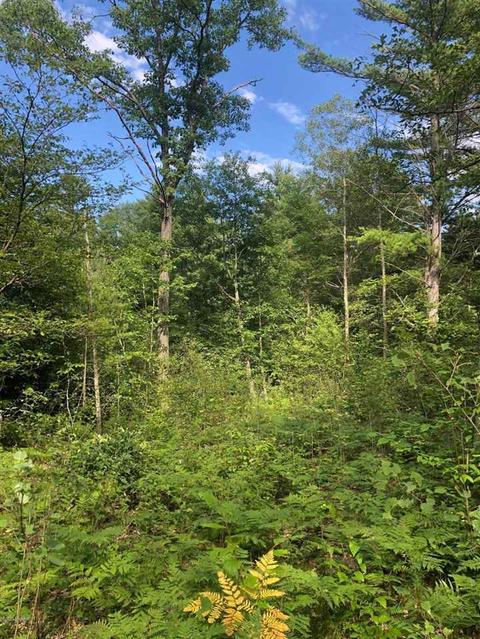 10925 Coates Hwy, Brethren, MI 49619 photo 18