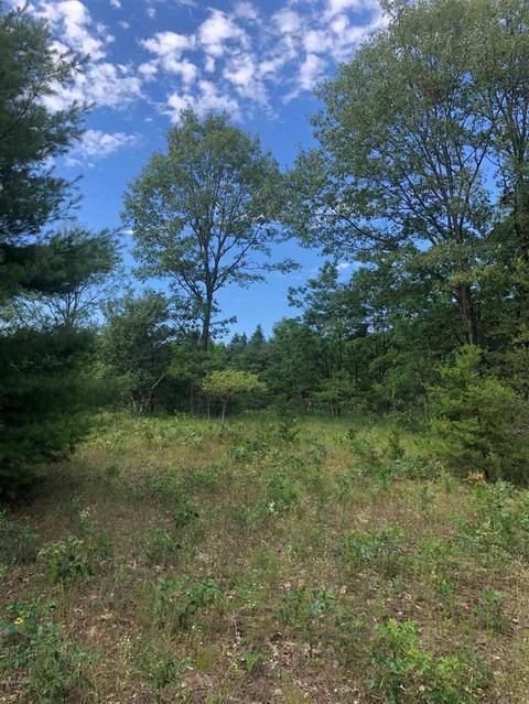 10925 Coates Hwy, Brethren, MI 49619 photo 5