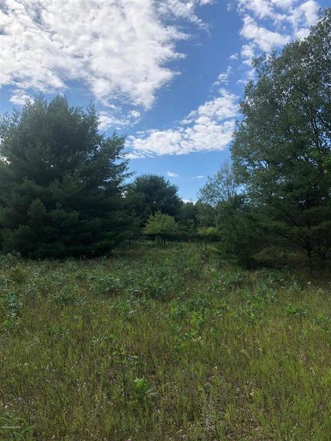 10925 Coates Hwy, Brethren, MI 49619 photo 4