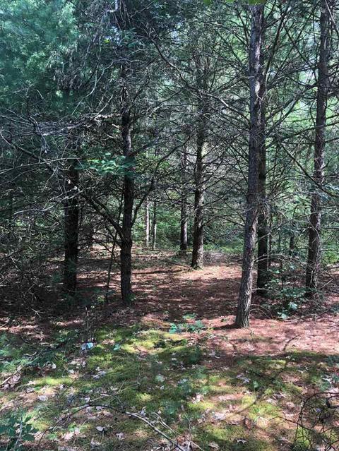 10925 Coates Hwy, Brethren, MI 49619 photo 13