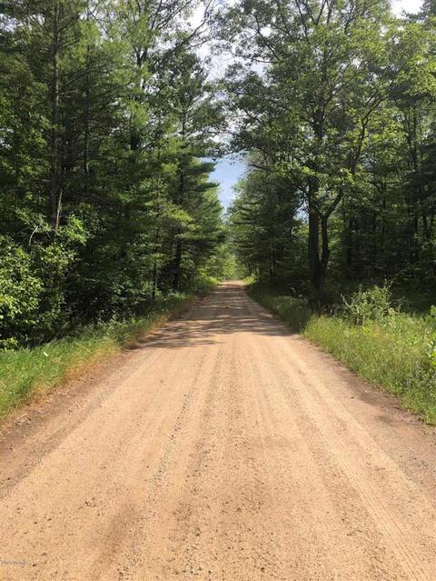 10925 Coates Hwy, Brethren, MI 49619 photo 26