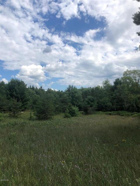 10925 Coates Hwy, Brethren, MI 49619 photo 7