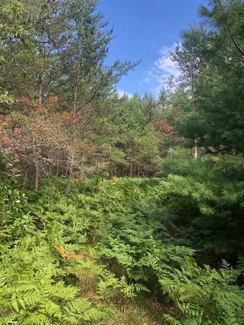 10925 Coates Hwy, Brethren, MI 49619 photo 22