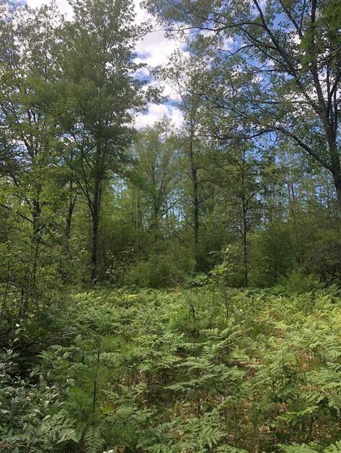 10925 Coates Hwy, Brethren, MI 49619 photo 25