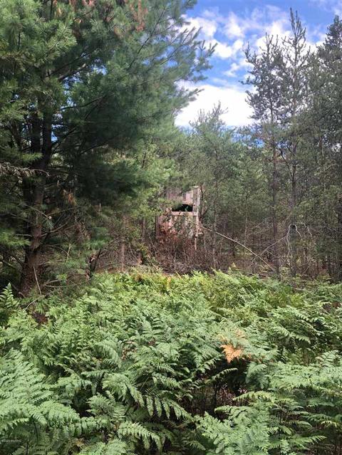 10925 Coates Hwy, Brethren, MI 49619 photo 10