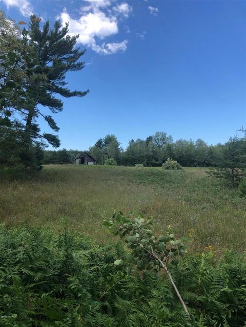 10925 Coates Hwy, Brethren, MI 49619 photo 3