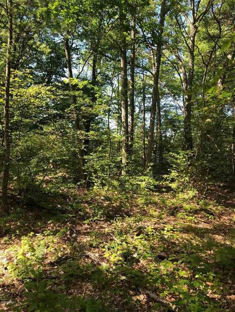 10925 Coates Hwy, Brethren, MI 49619 photo 14