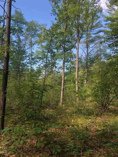 10925 Coates Hwy, Brethren, MI 49619 photo 16