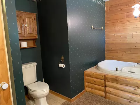 3800 Loftus, Freeport, MI 49325 photo 29