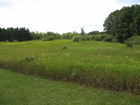 1130 Stanton, Stanton, MI 48888 photo 15
