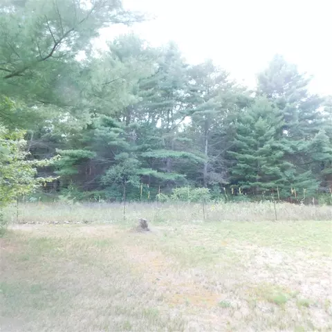 4672 Oak, Newaygo, MI 49337 photo 28