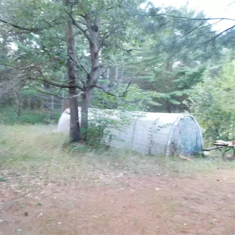 4672 Oak, Newaygo, MI 49337 photo 37