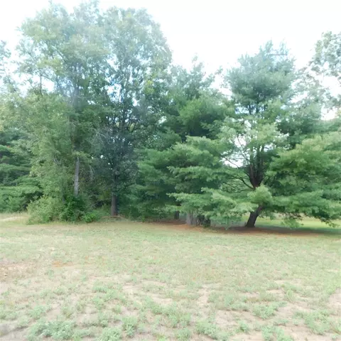 4672 Oak, Newaygo, MI 49337 photo 29