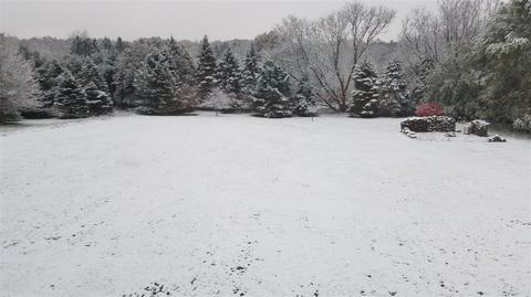 572 Rushing, Plainwell, MI 49080 photo 68