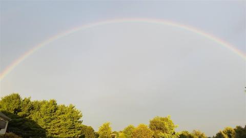 572 Rushing, Plainwell, MI 49080 photo 65