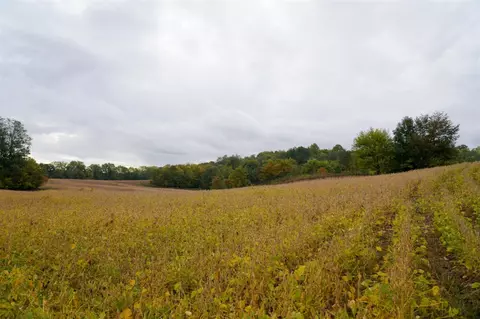 54542 Penn, Cassopolis, MI 49031 photo 21
