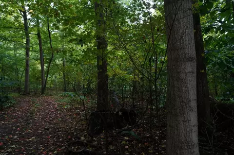 54542 Penn, Cassopolis, MI 49031 photo 5