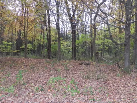 46792 48th, Lawrence, MI 49064 photo 30