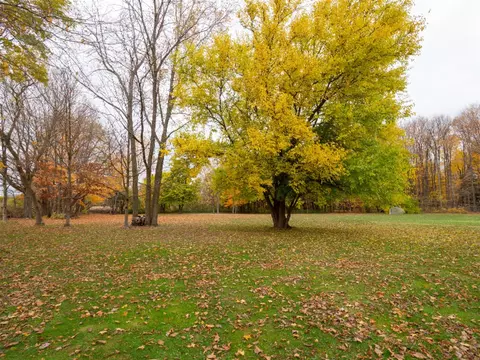 500 S S Ctr, Marcellus, MI 49067 photo 24