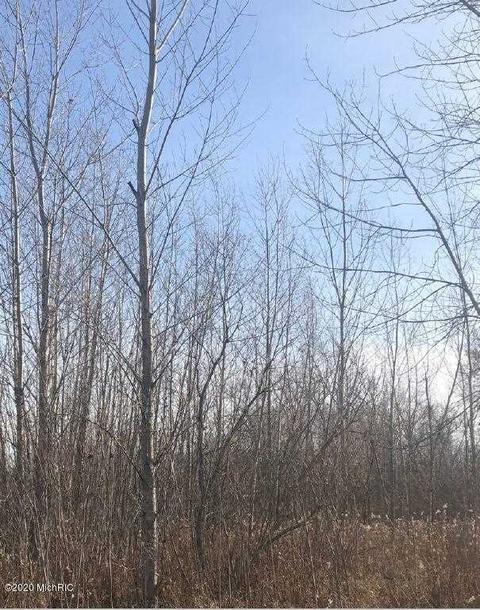 7726 Lake Cir, Belding, MI 48809 photo 4