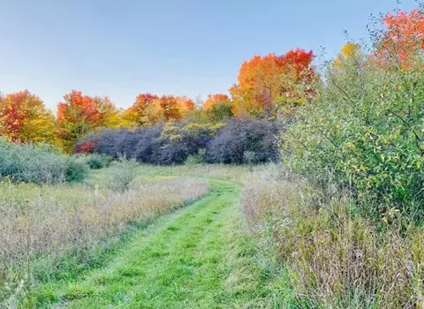 11927 Mcclelland, Grant, MI 49327 photo 9