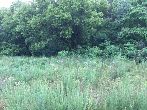 4929 Streamside Pointe, Ada, MI 49301 photo 1