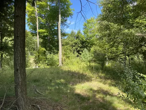 Ceylon #( 5), Onekama, MI 49675 photo 11