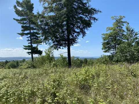 Ceylon #( 5), Onekama, MI 49675 photo 2